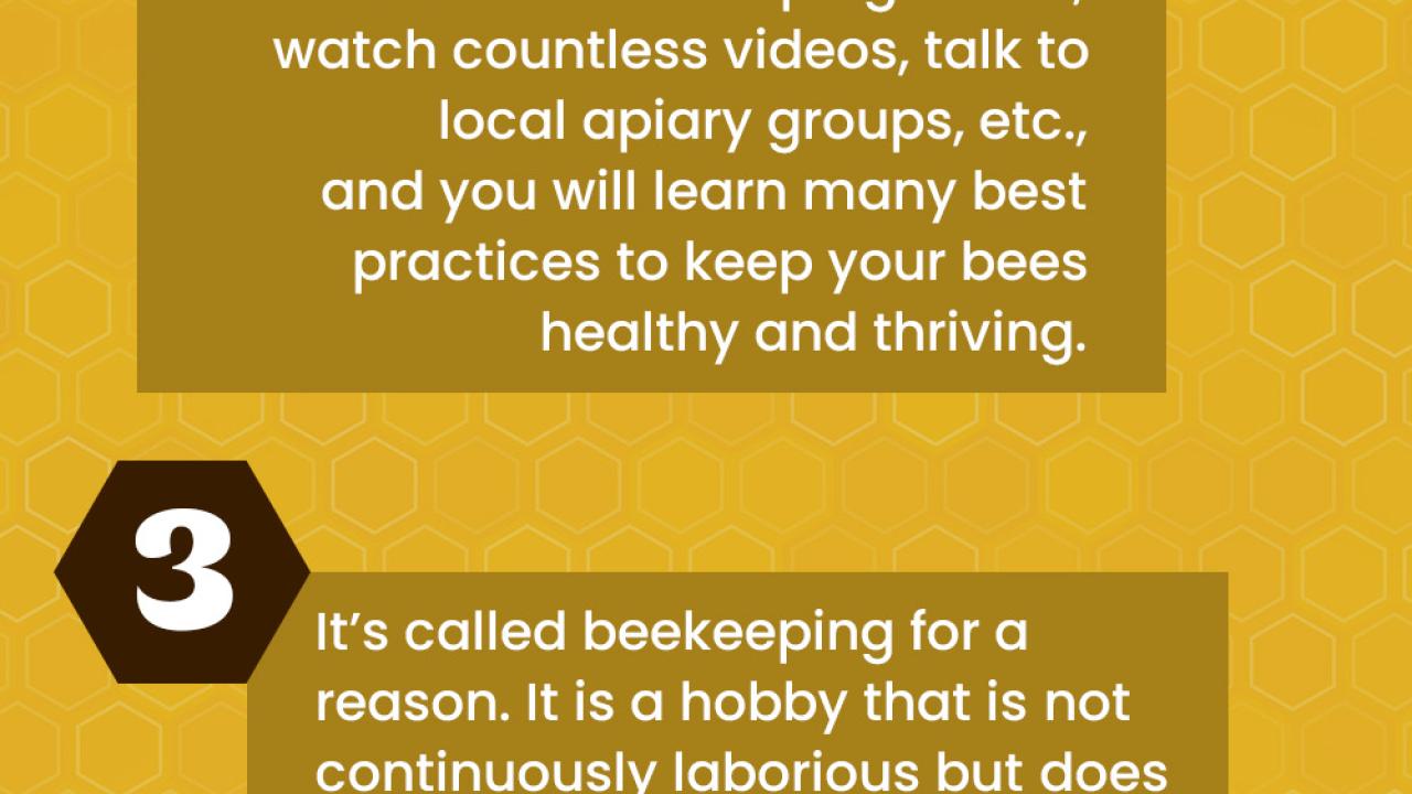 Gina's Top Tips for Success:  Bees are going to do what bees are going to do.There is no one route to becoming a successful beekeeper. You can read a dozen beekeeping books, watch countless videos, talk to local apiary groups, etc., and you will learn many best practices to keep your bees healthy and thriving.It's called beekeeping for a reason. It is a hobby that is not continuously laborious but does consist of required activities that can be time consuming on an intermittent basis.The cost to get started
