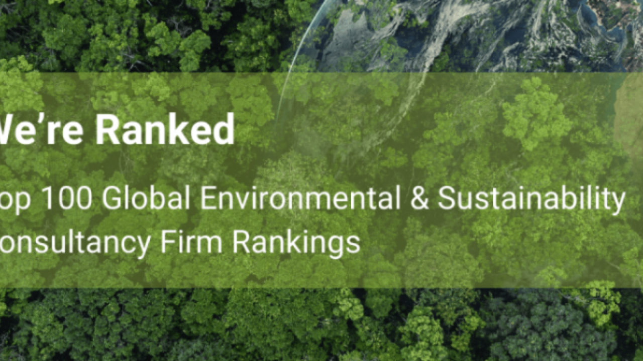 Environment Analyst Ranking