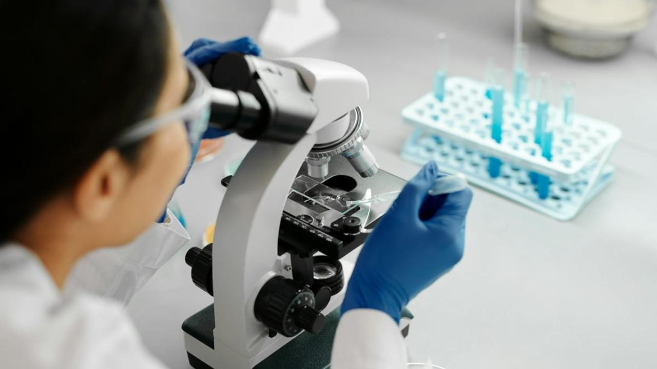 medical research breakthroughs