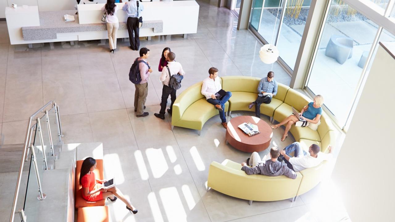 Workplace Wellness