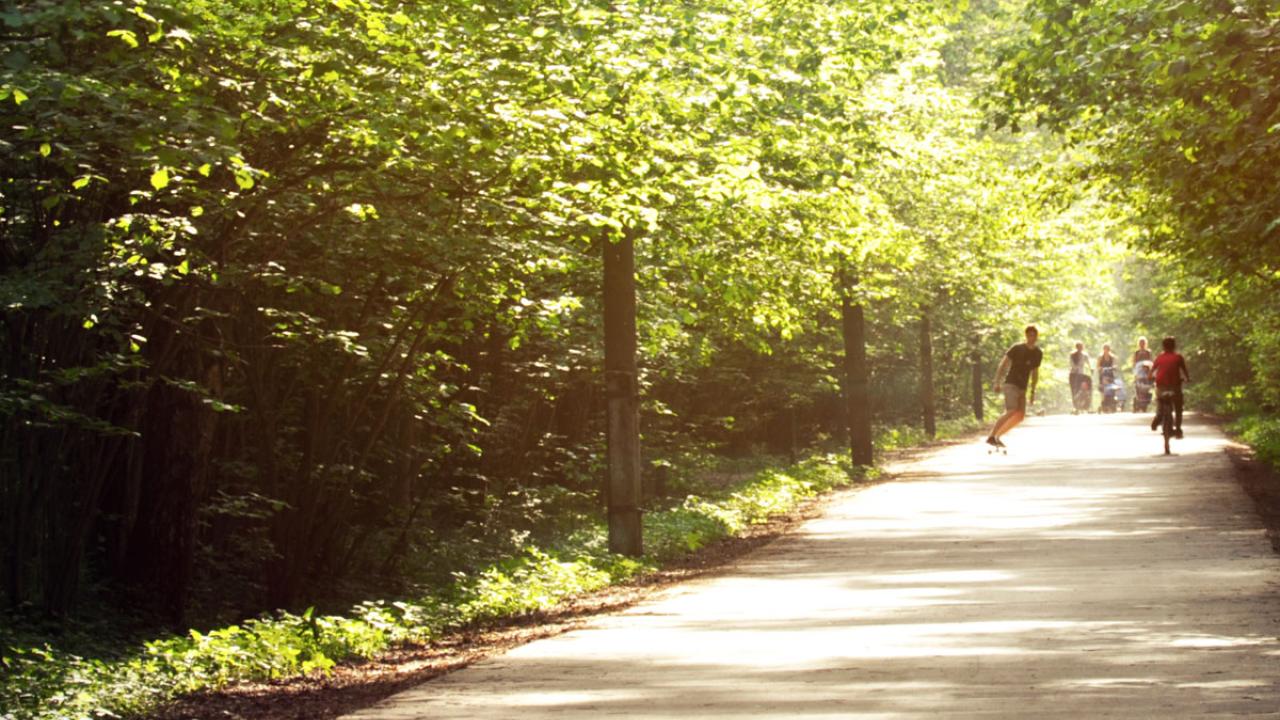 bike path