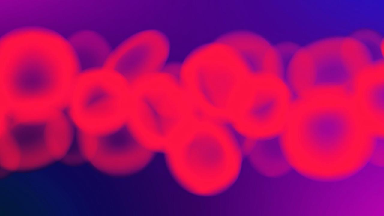 bloodstream diagram 