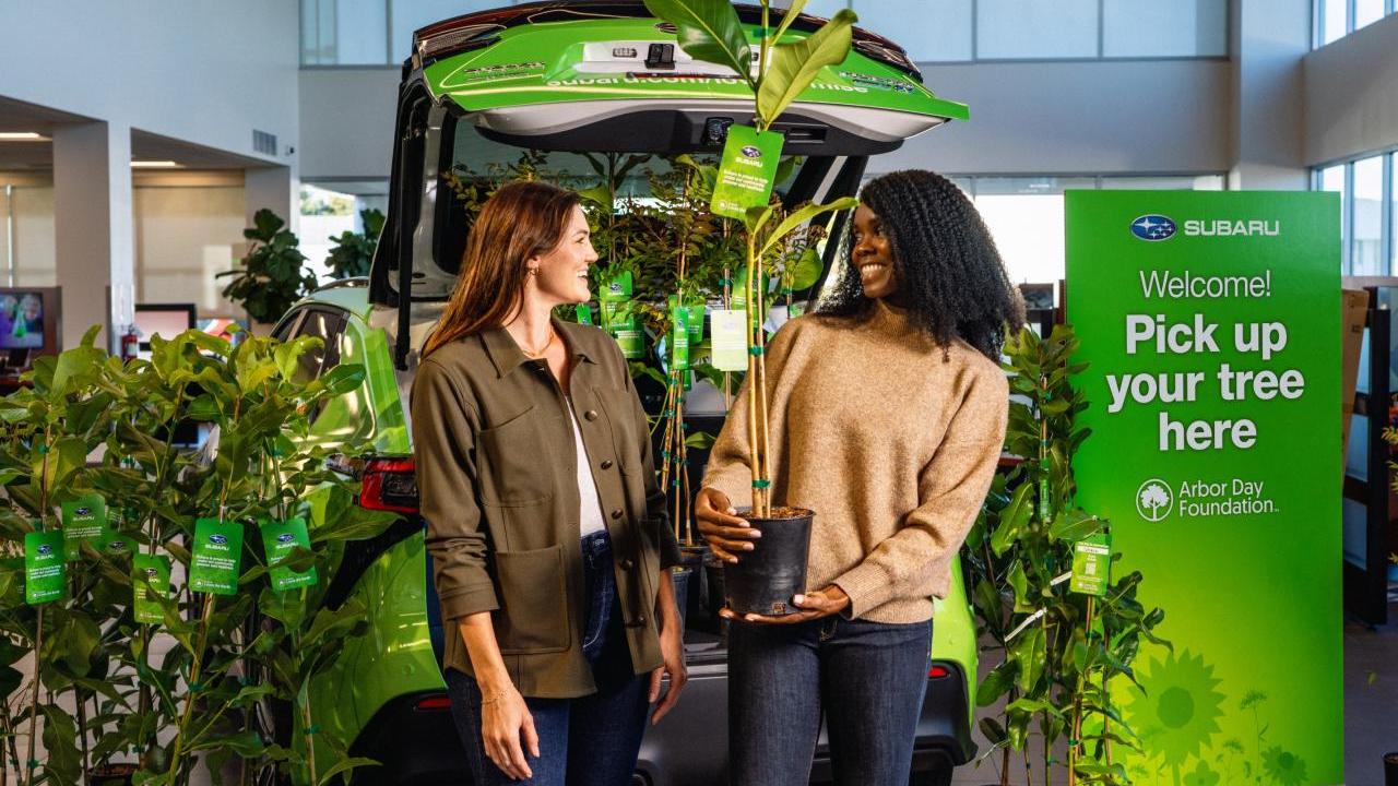 Two people pick up a tree