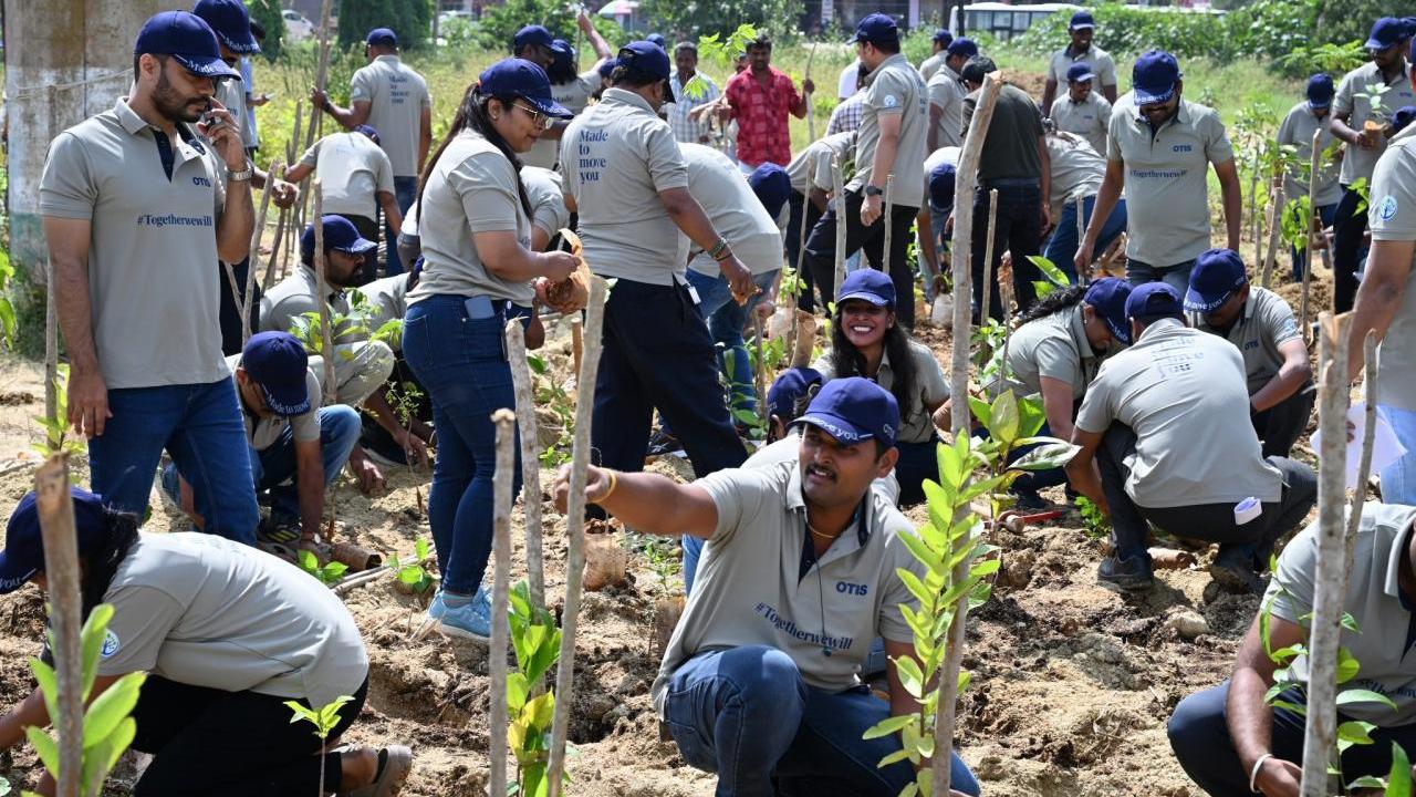 Otis volunteers planting native trees and plants