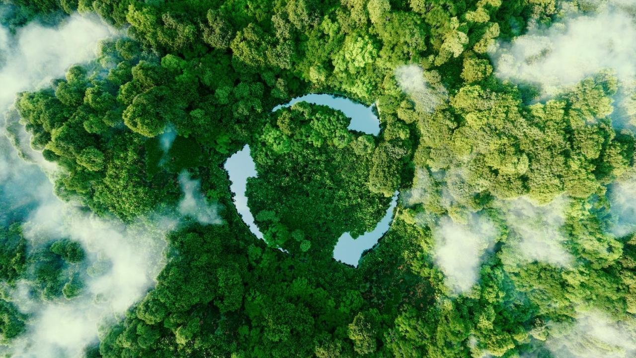 trees with a recycling logo overlay