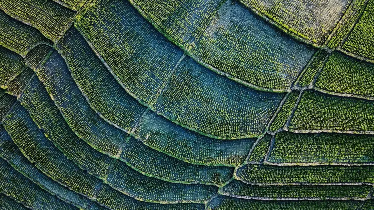 Satellite view of land