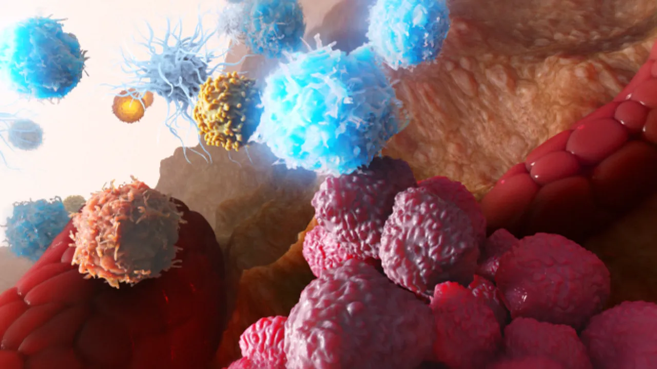 Tumor enrvironment