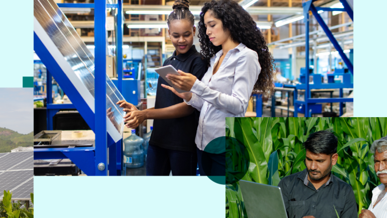 Collage of three images: A person overlooking solar panels in a field, two people building a solar panel and looking at a tablet in a plant setting, and two people in a crop field looking at a laptop.