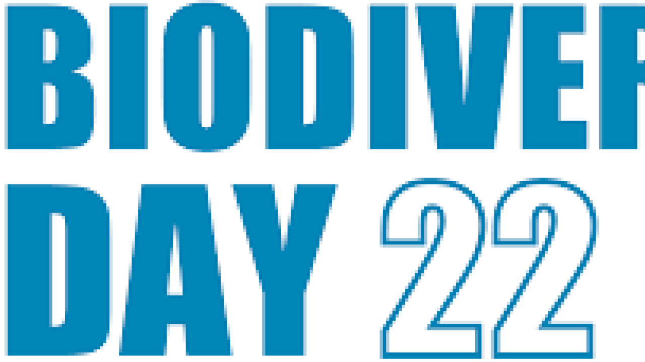 Biodiversity Day - spot light on the demand for improved corporate reporting