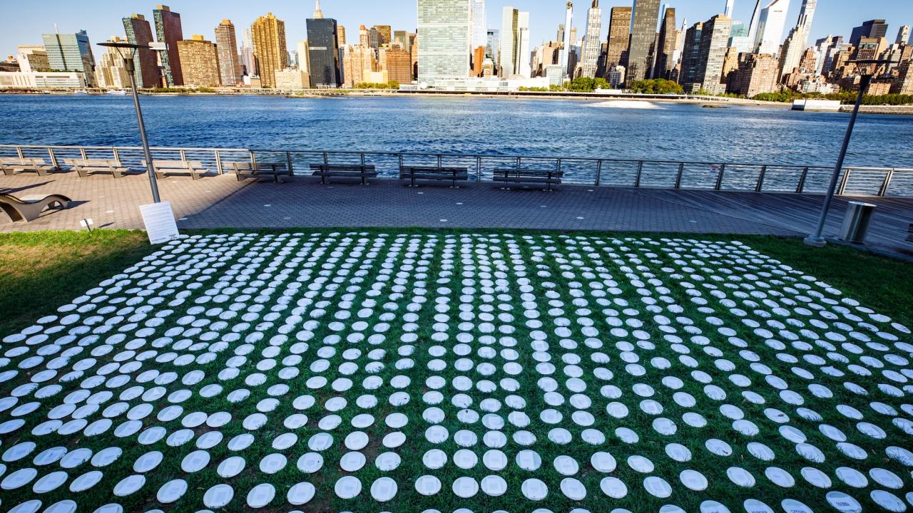 1000 plates placed on the lawn of the UN
