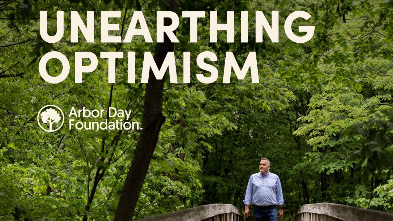 Unearthing Optimism podcast cover shows CEO Dan Lambe looking up while walking down a bridge in the middle of a forest.