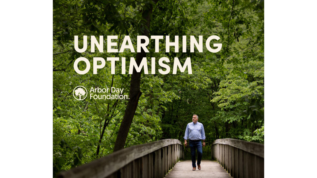 Unearthing Optimism Podcast art, featuring man walking down a bridge in a forest. 