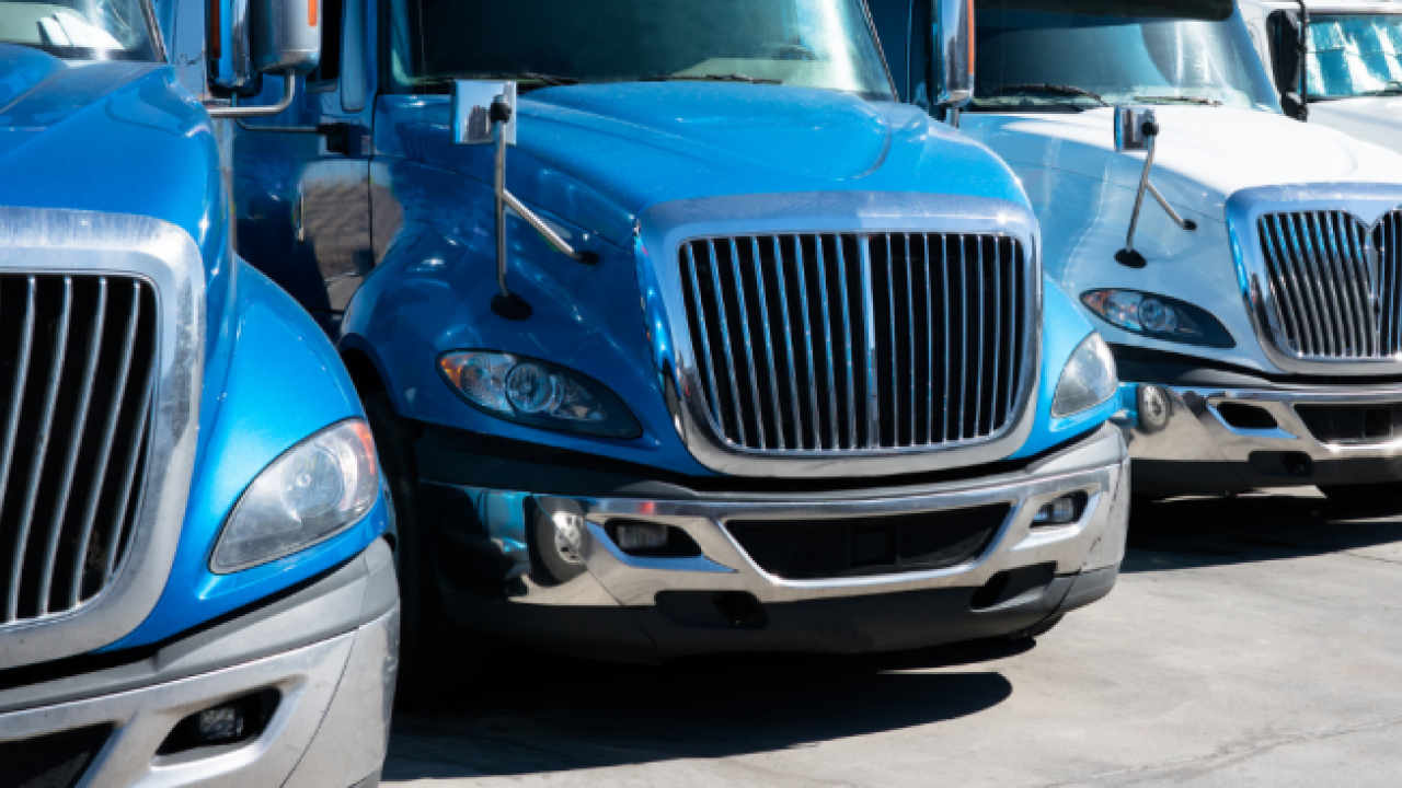 Row of blue trucks