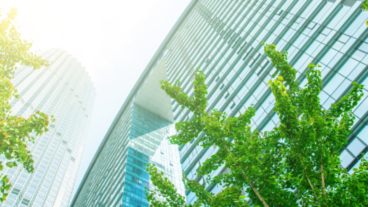 Green Building, seen from below 