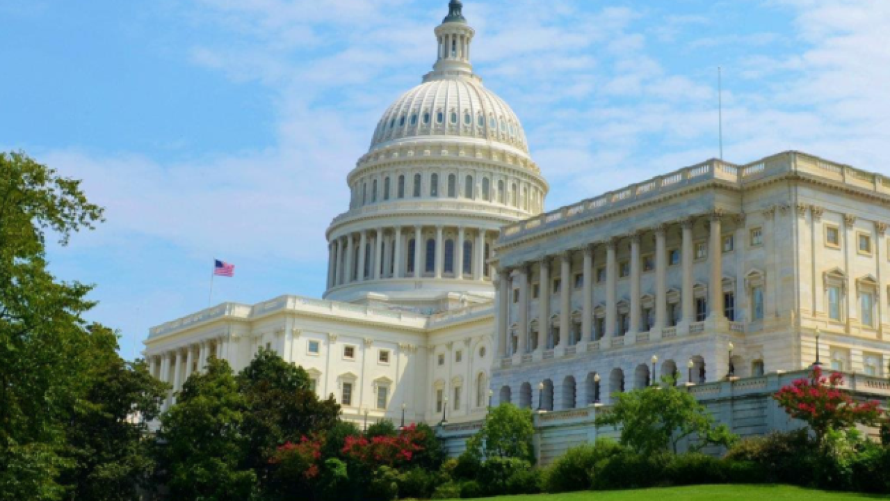 Washington D.C.