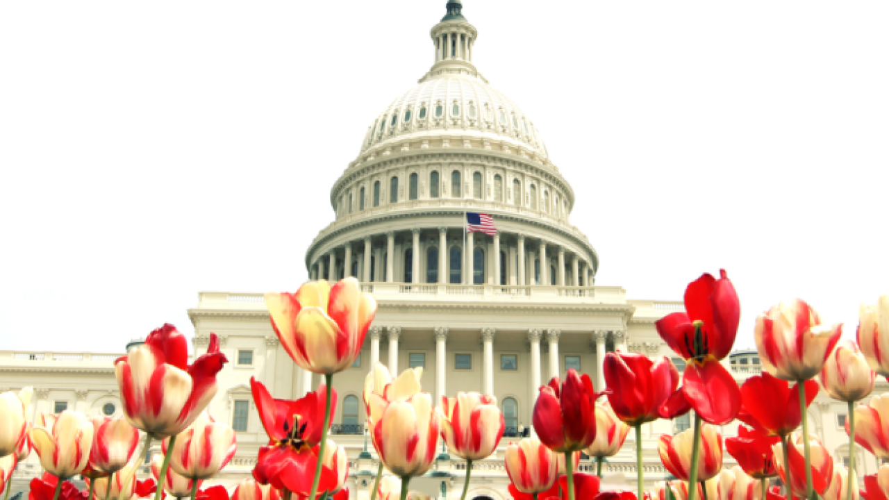 Capitol Hill