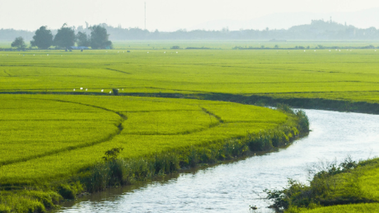 River