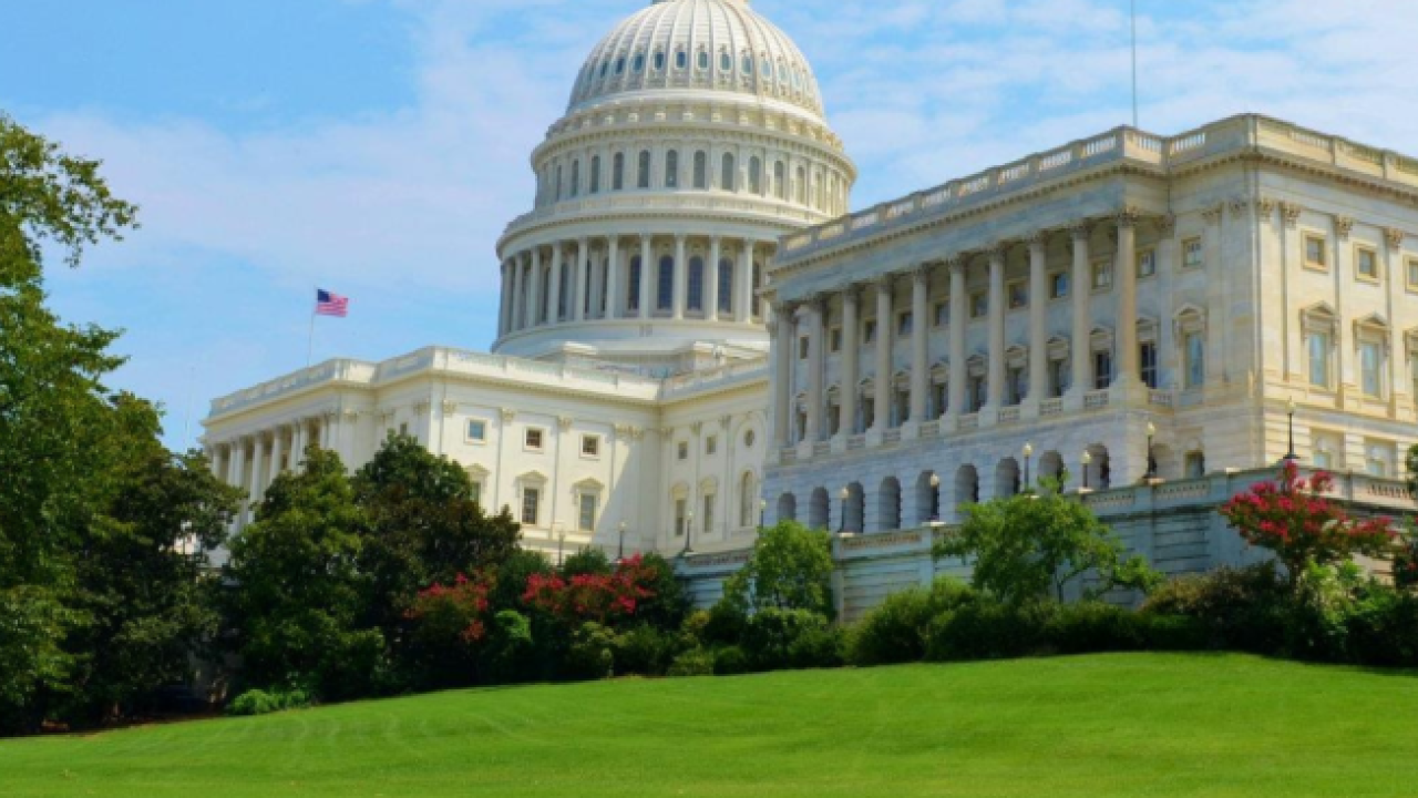 the White House