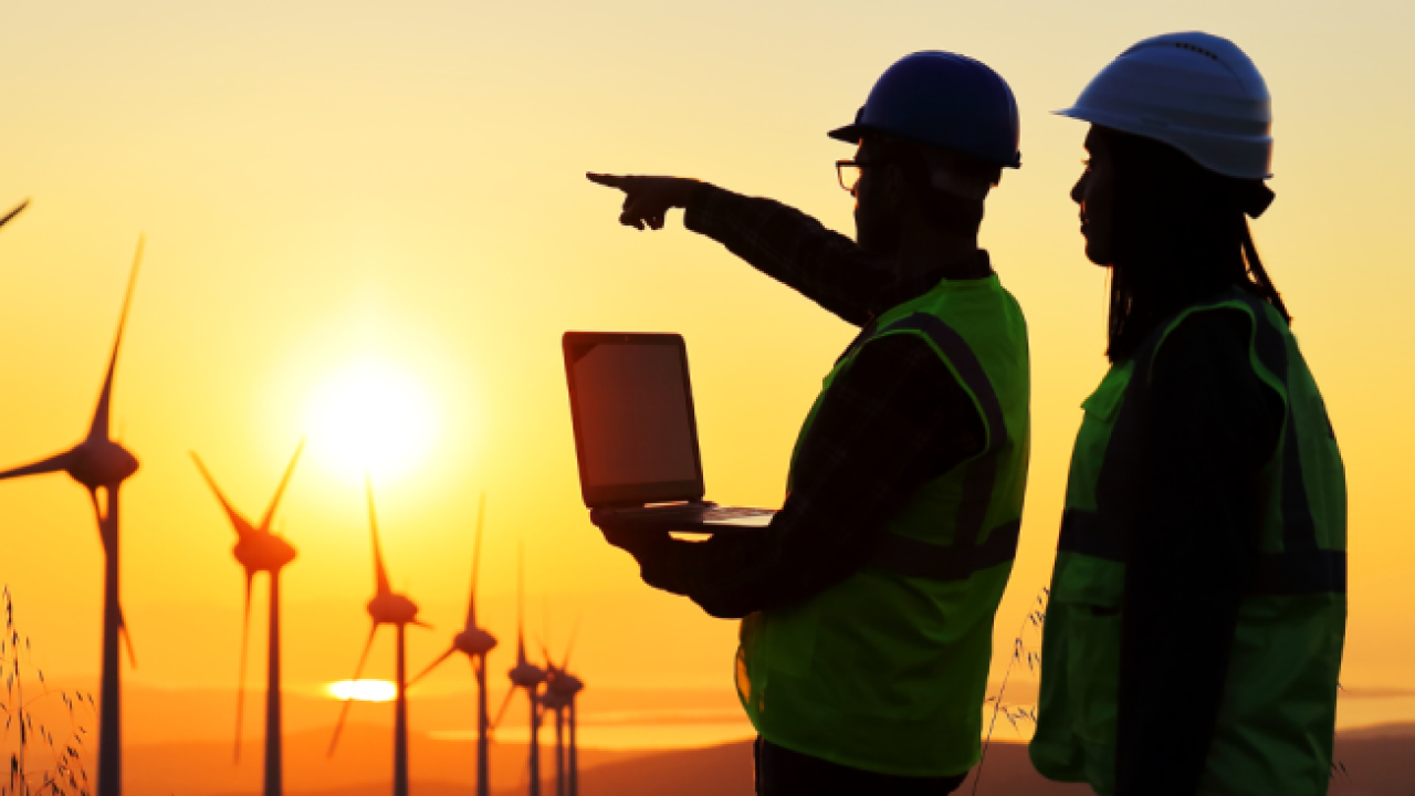 people surveying windmills