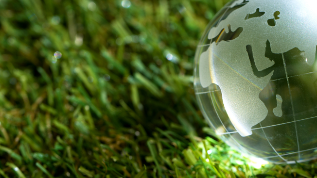 glass globe on grass