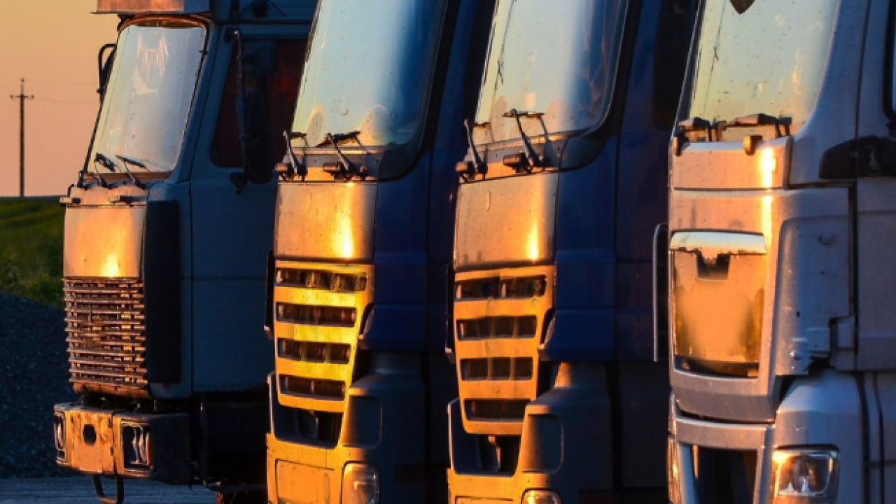 buses in the setting sun
