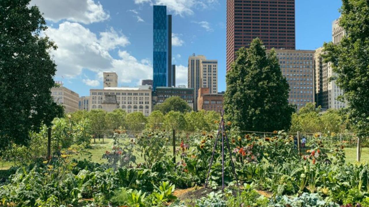 urban space