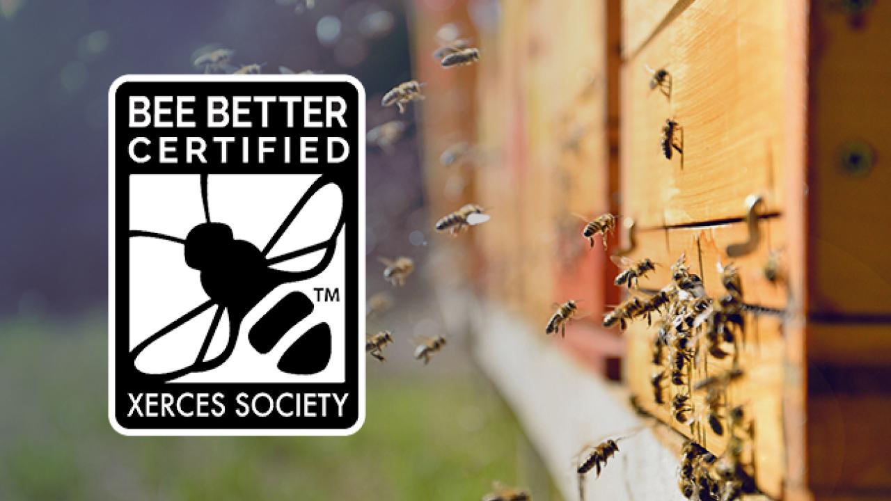 VFLP California's Burns Ranch Achieves Bee Better Certification™ from SCS Global Services 