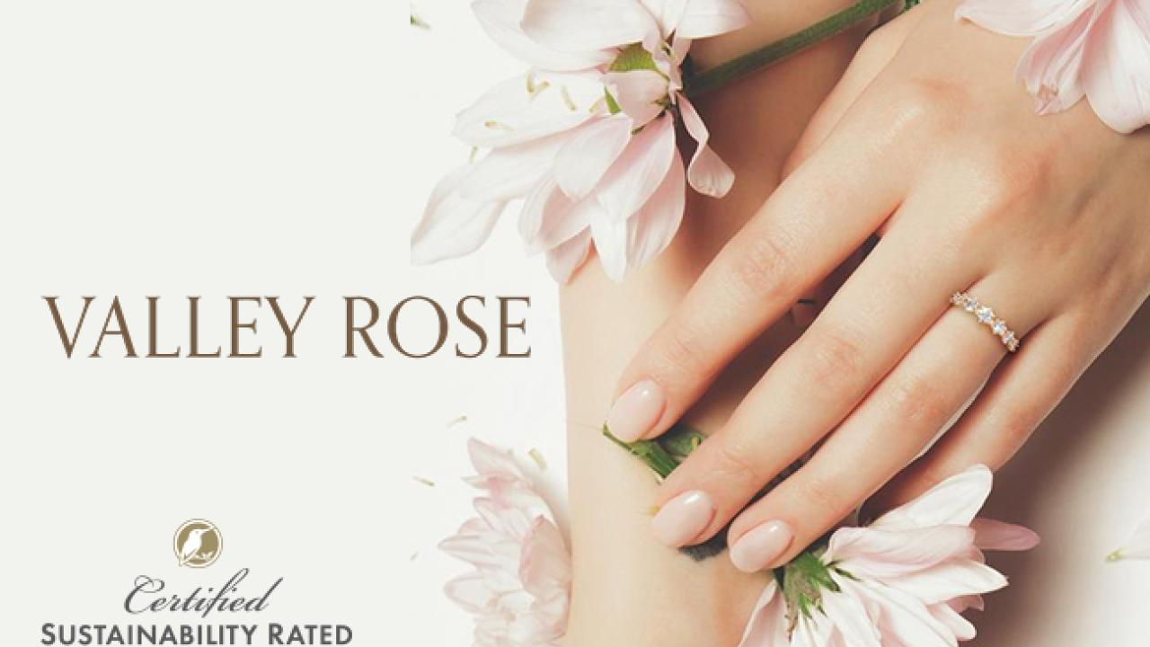 Valley Rose marketing poster