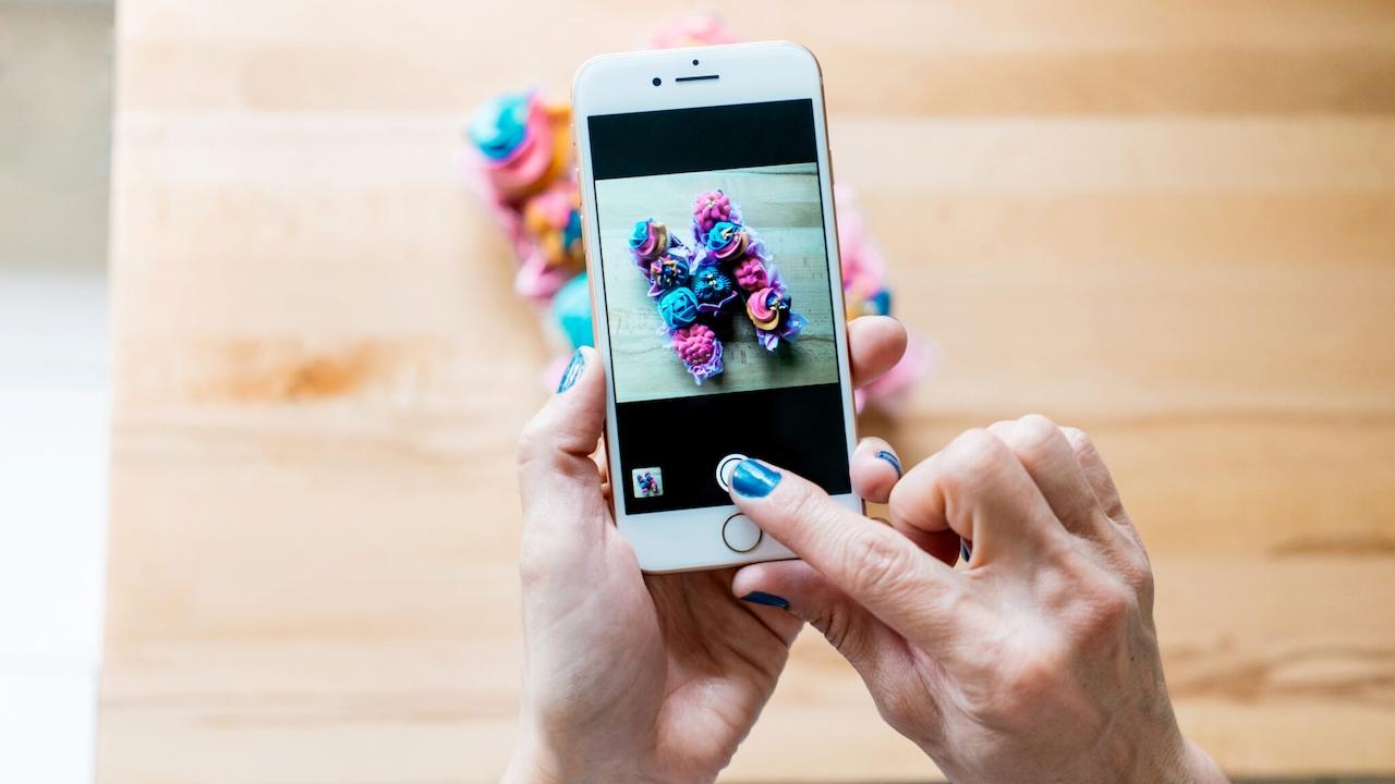 Person holding an iPhone and taking a photo of a flower.