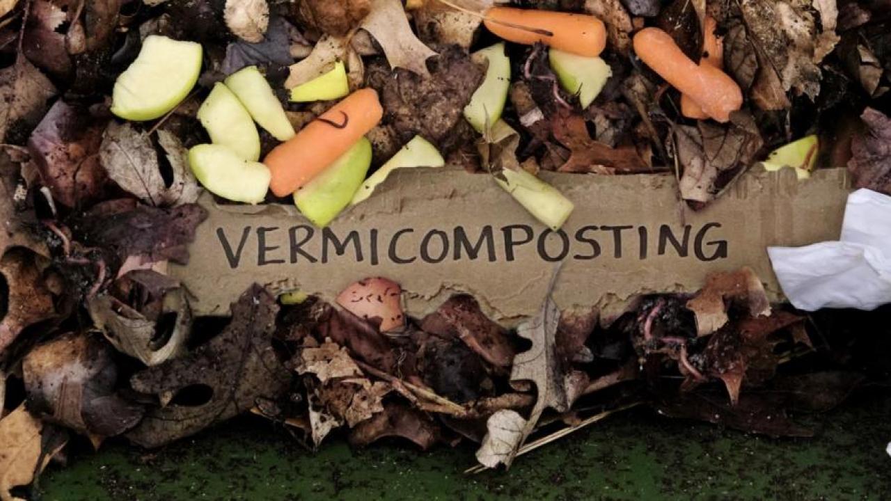 sign reading "vermicomposting" with composting around it