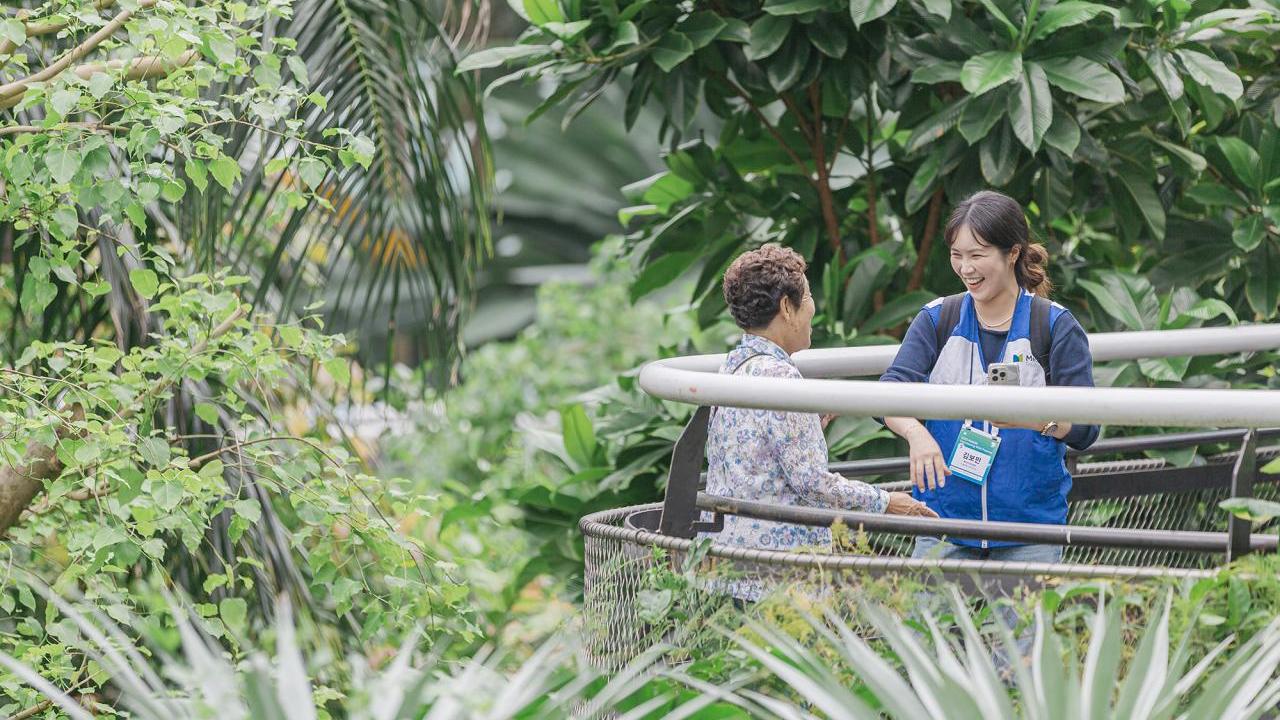 people standing in the jungle