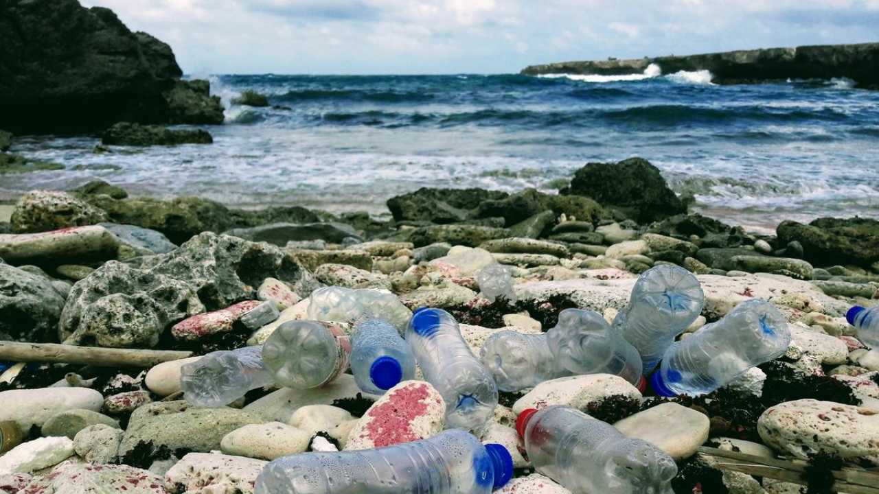 plastic trash on a beach