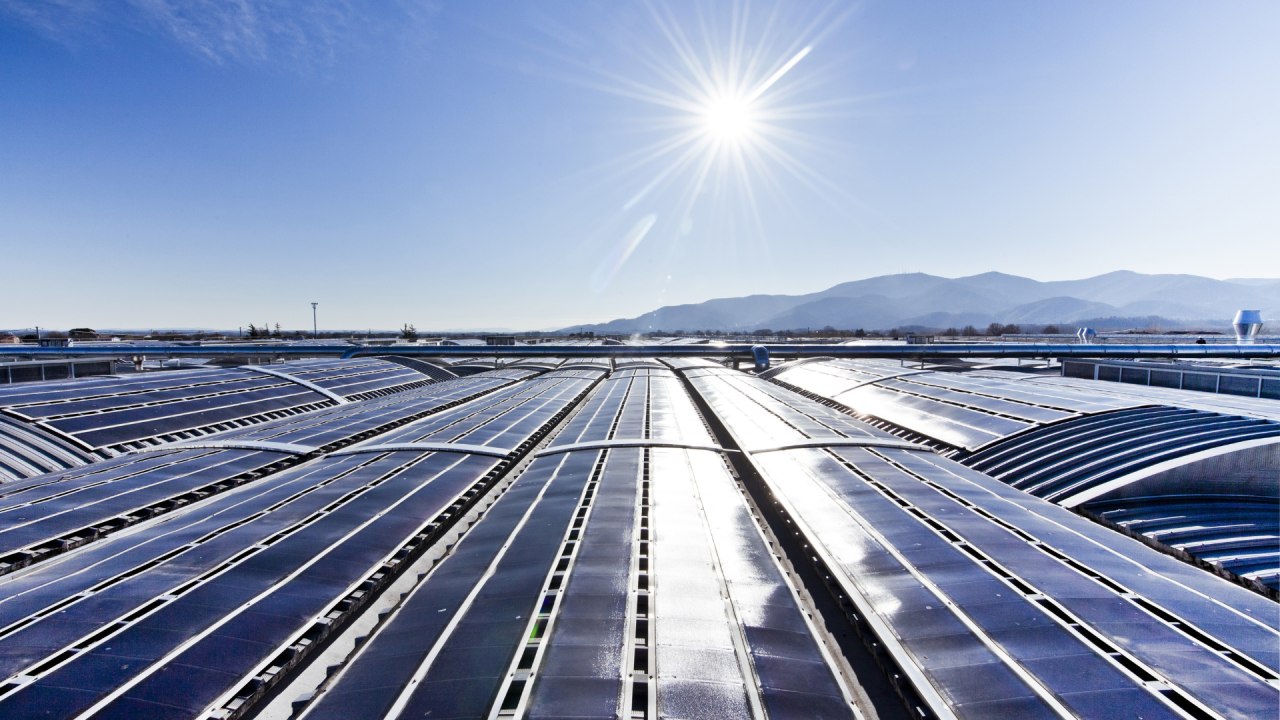 solar panels