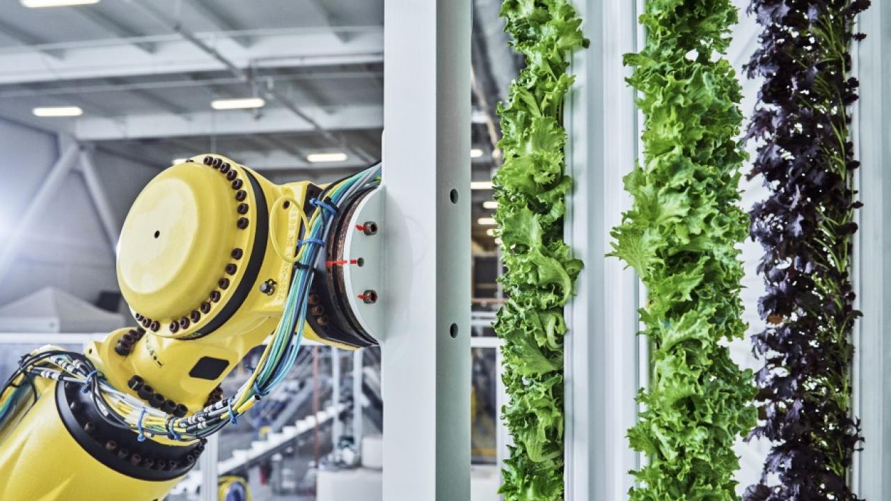 Plenty Farms Tower Robot