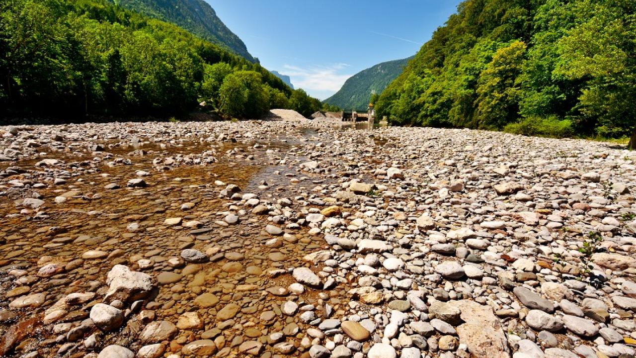 Dry Riverbed