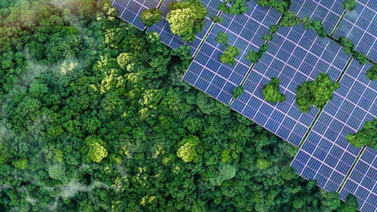 Aerial view of a solar panel array.