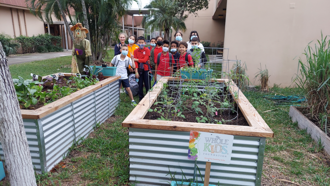 raised beds and The Whole Kids Foundation Sheridan Hills Elementary Hollywood, FL Garden Club