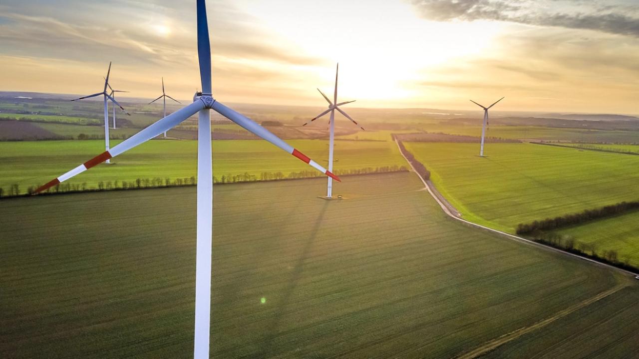 windfarm