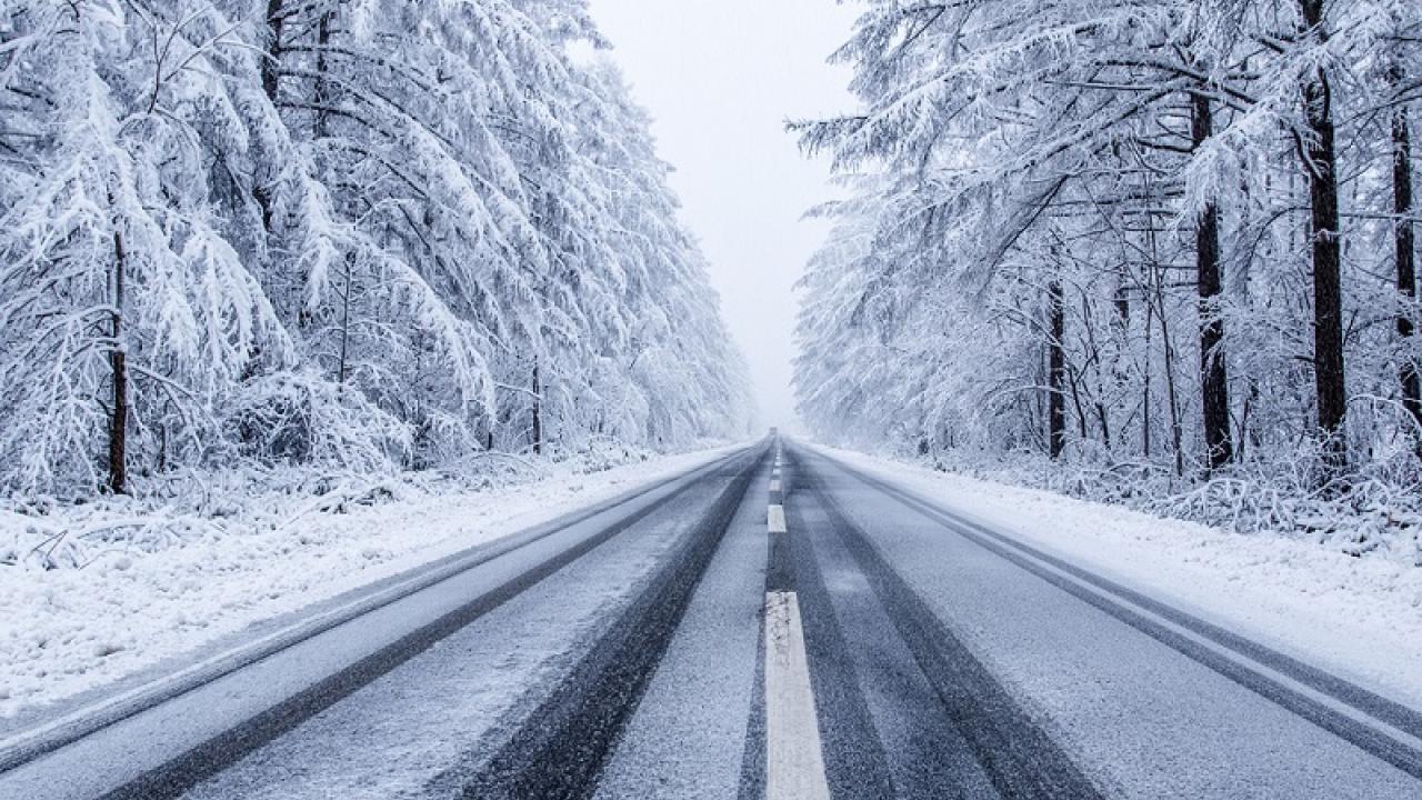 Winter Landscape