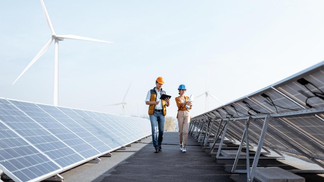 workers walking along solar panels