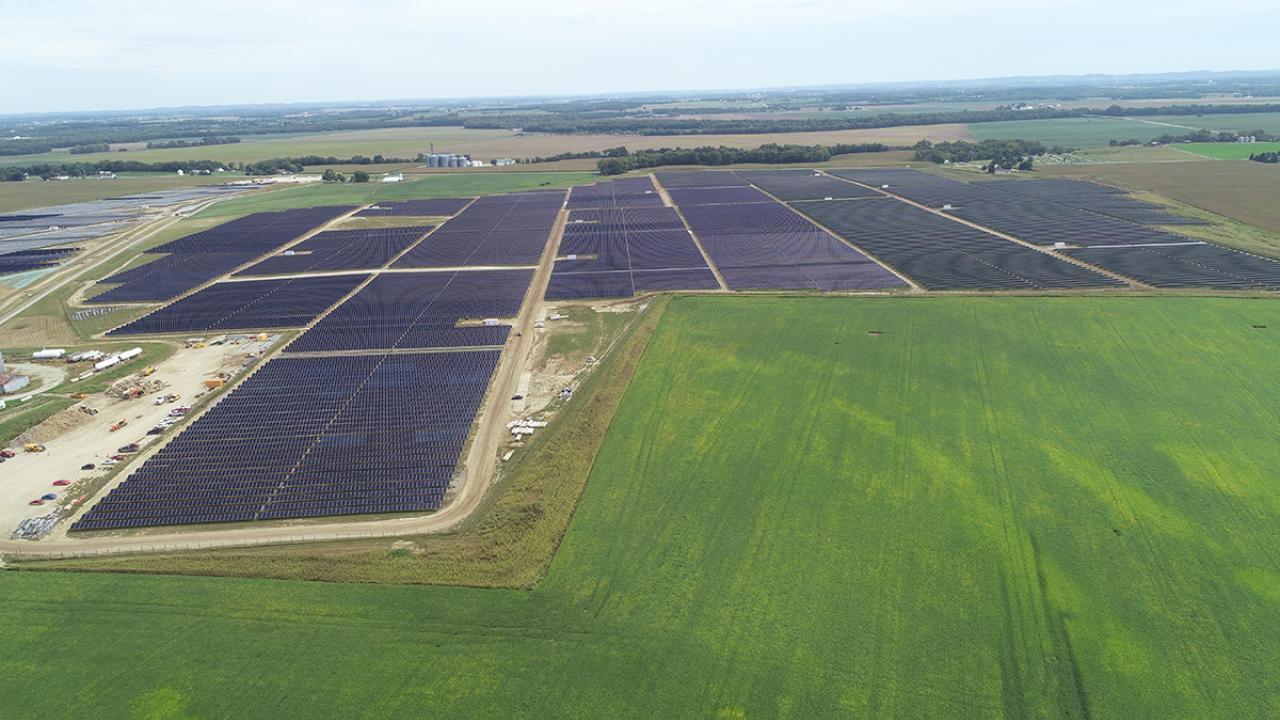 Yellowbud Solar Kiewit