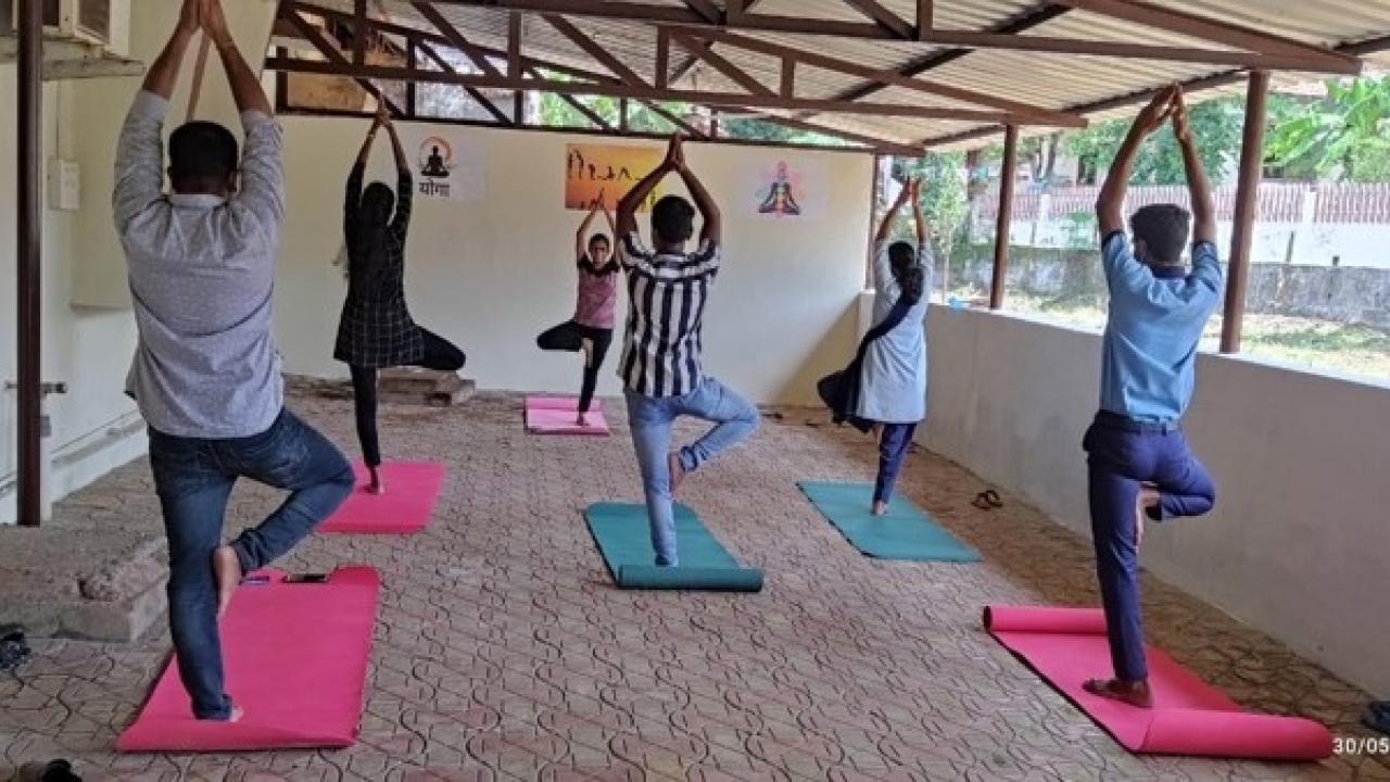 People doing yoga