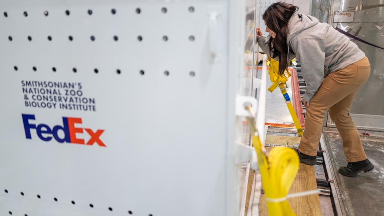 Person writes on FedEx crate