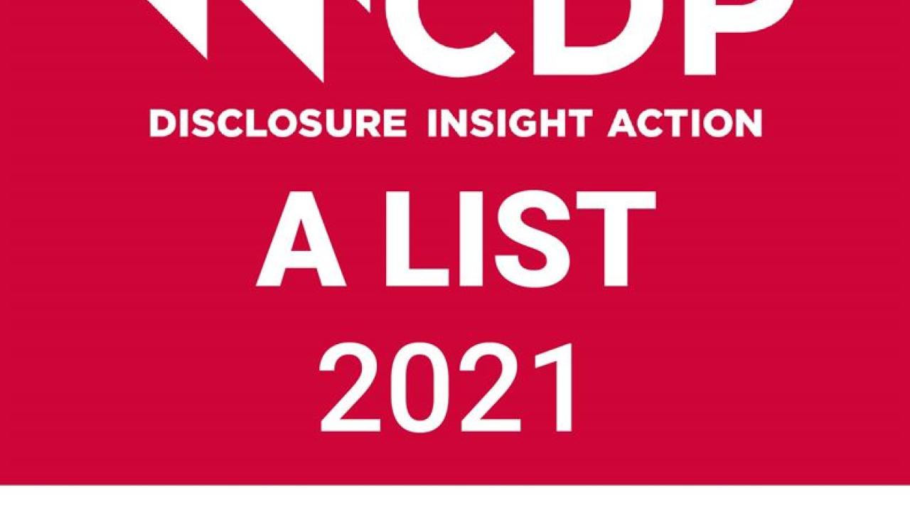 CDP Disclosure Insight Action A List 2021 - Forests