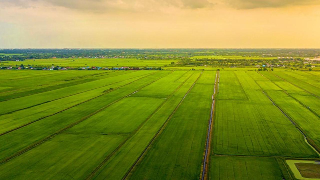Aerial view of open fields.