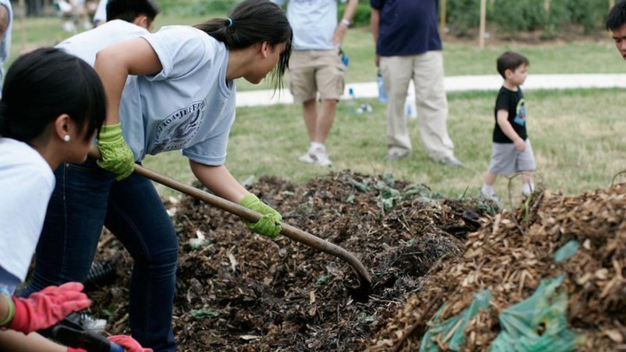 Woman with a shovel digging in a garden.