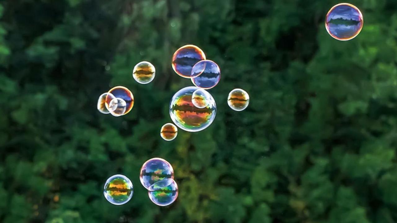bubbles floating in air