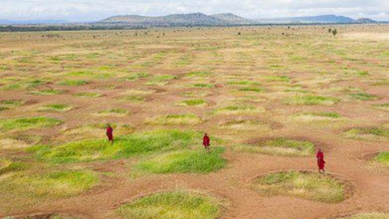 Painting of three figures in red, in an open field
