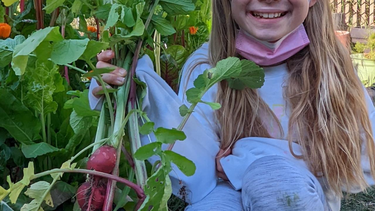 A child holding radishes