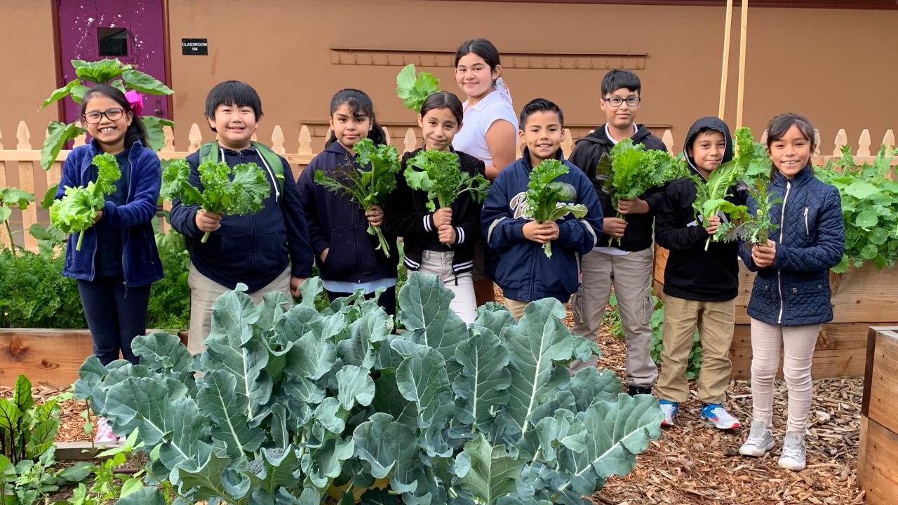 Children standing in a garden holding greens